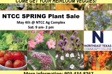 plant sale graphic