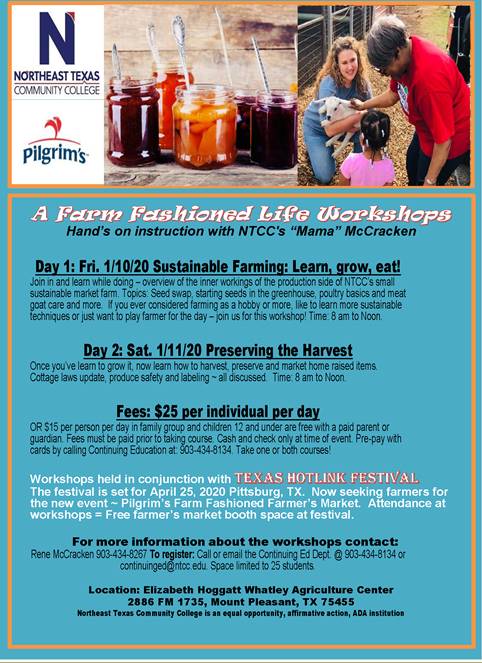 workshop flyer