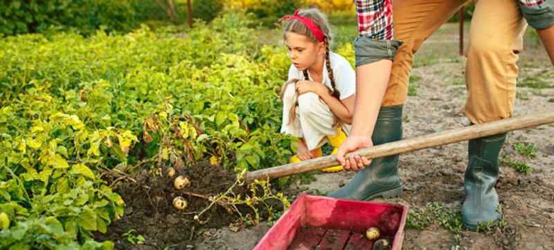 Summertime on the Farm - Camp for kids!