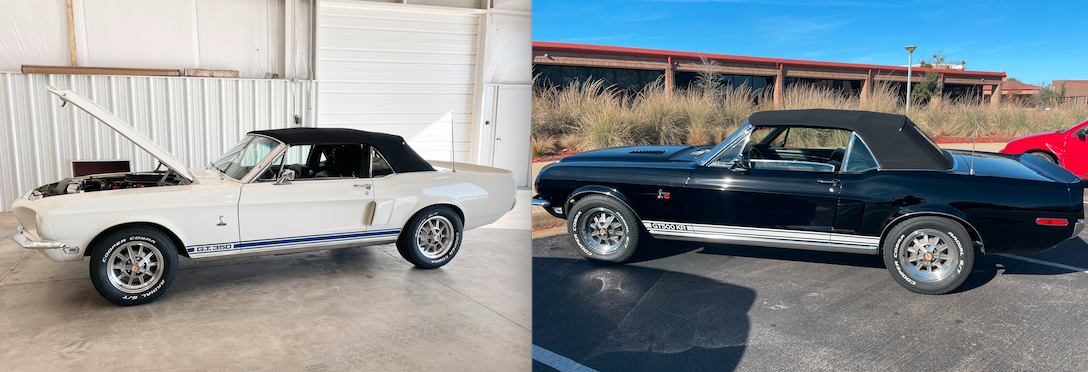 two new Shelby cars