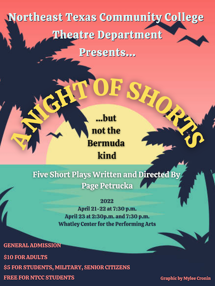 a night of shorts poster