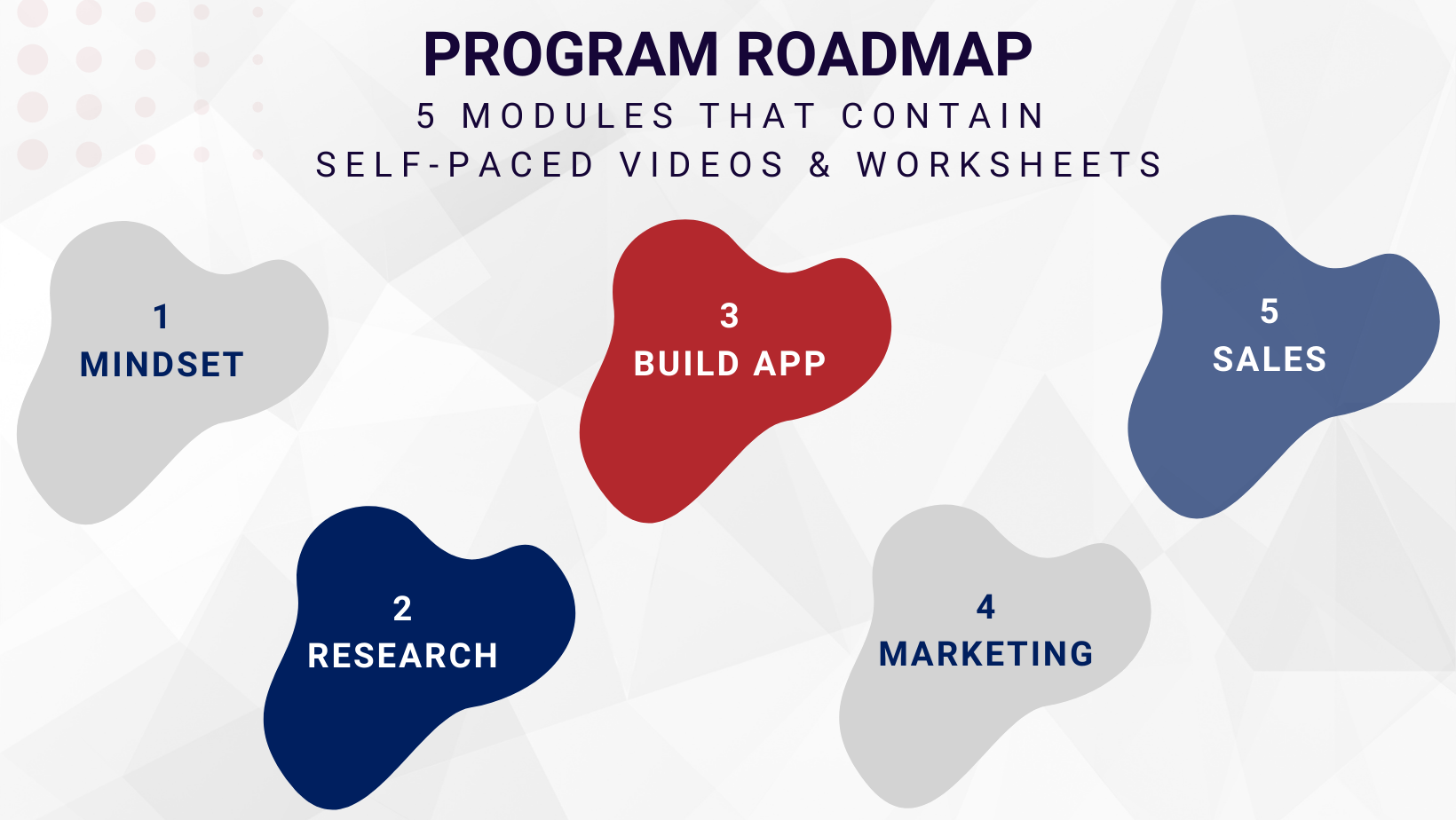 program roadmap