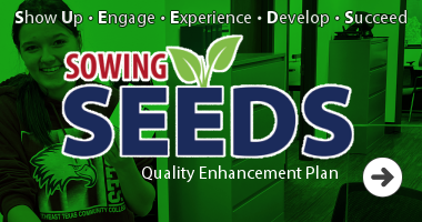 Sowing Seeds for Success