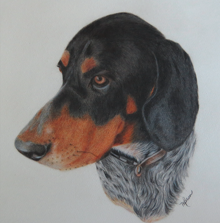 Marsha Brown dog drawing