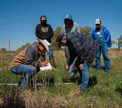 ranchers learning in a field