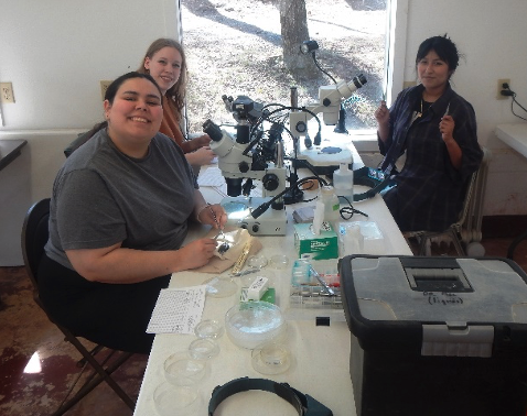 student researchers