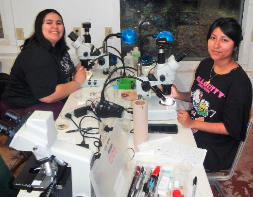 students working in lab