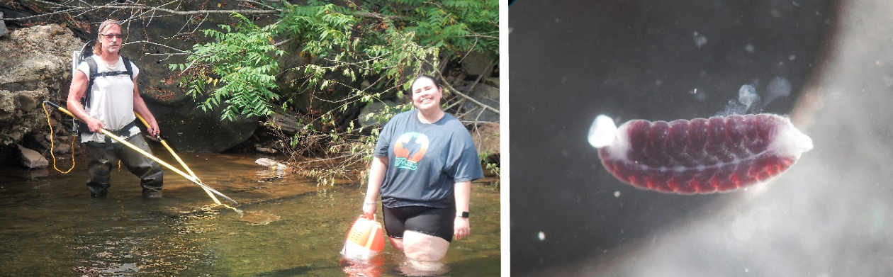 researching in river