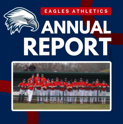 annual report graphic