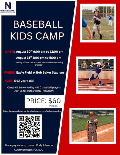 baseball camp flyer