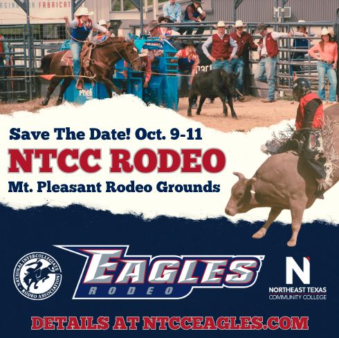 rodeo graphic