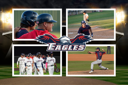 collage with 4 action shots and eagle logo