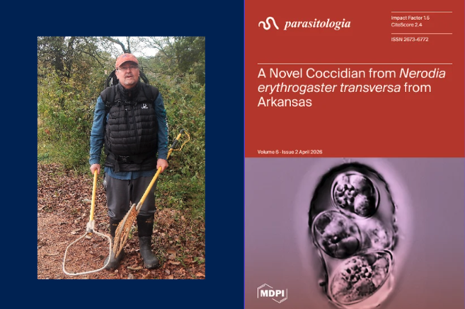 McAllister research cover 