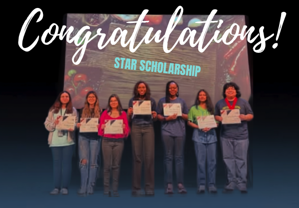 star scholarship