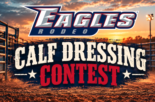 Teams sought for rodeo Calf Dressing Contest