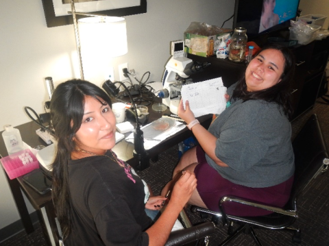 working on microscopes