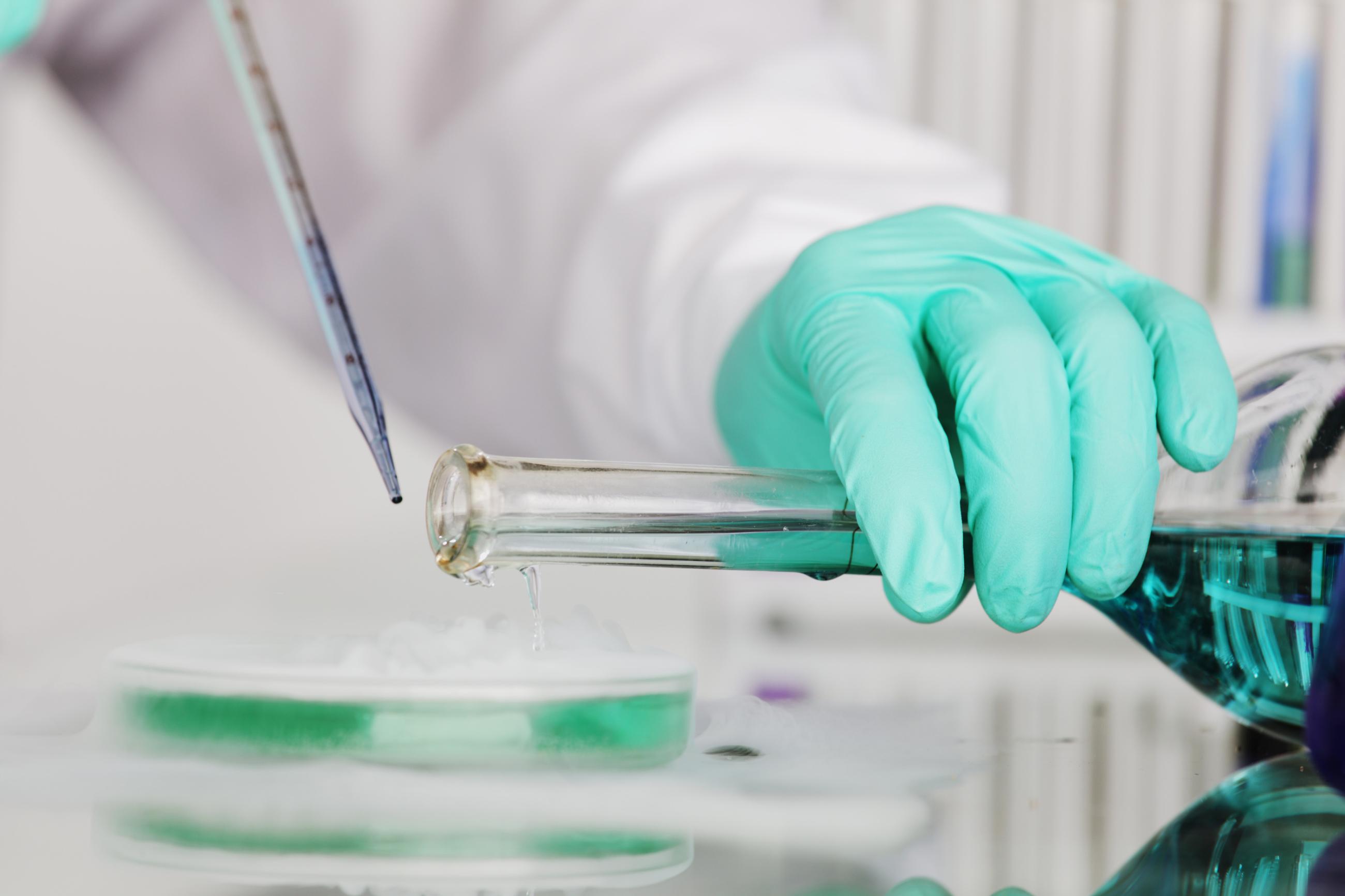 Student transfering a biological sample to a petri dish