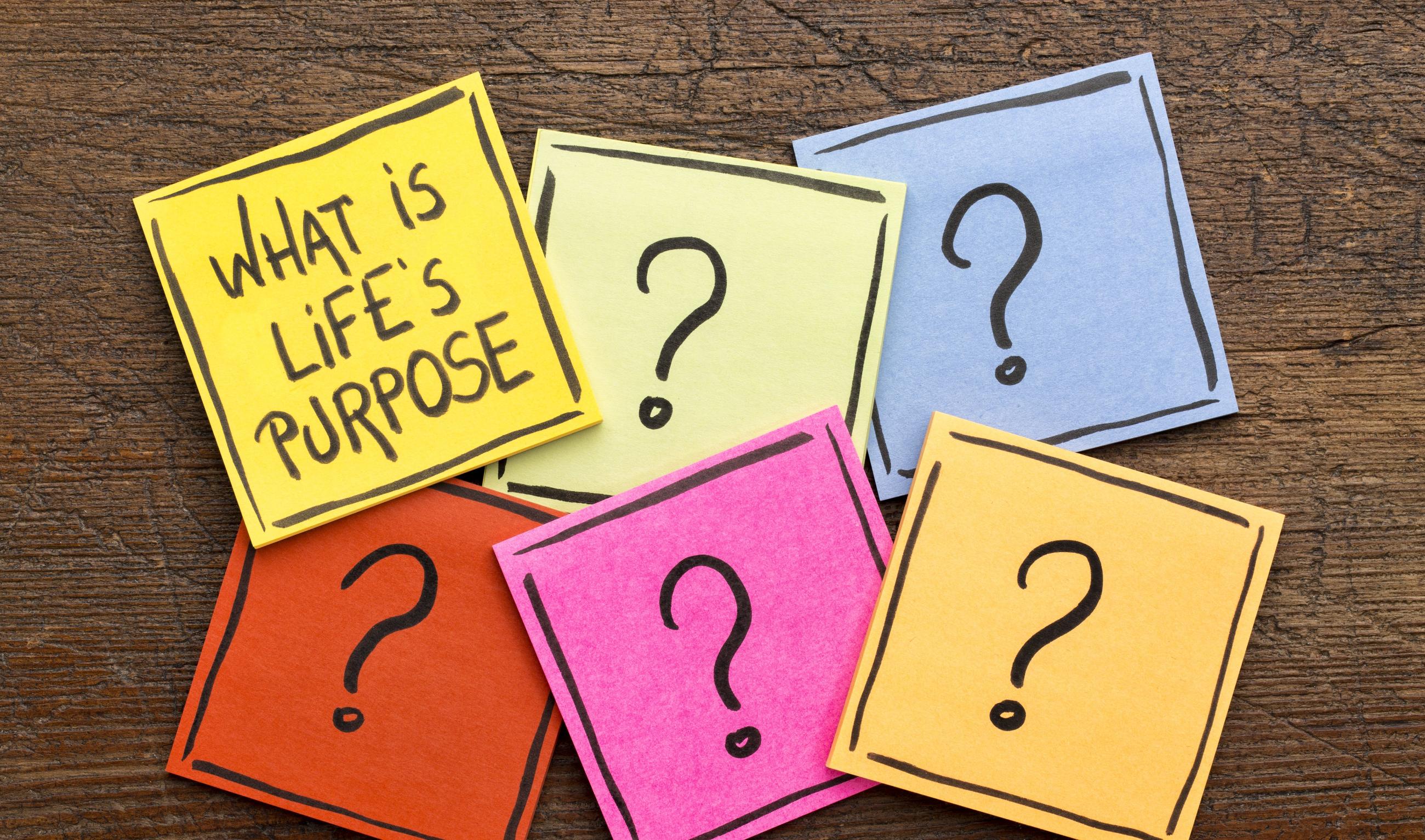 What is Life's purpose?