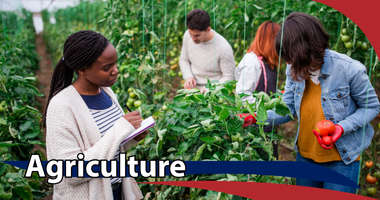 Pursue Agriculture at NTCC