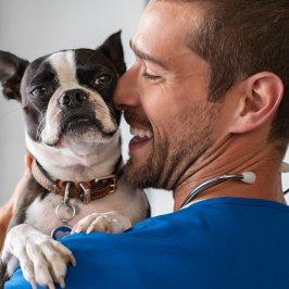 Veterinary Assistant