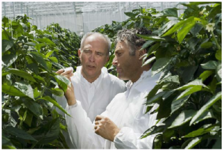 Farmers Inspecting Plants