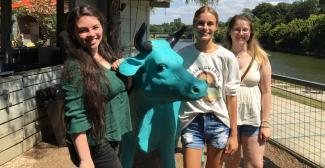 honors students with cow statue