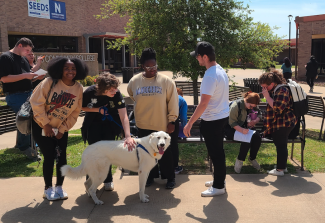 students petting dog for research