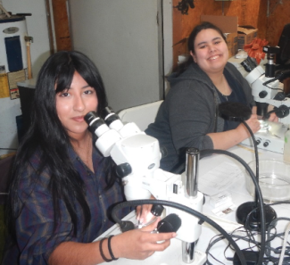 students on microscopes