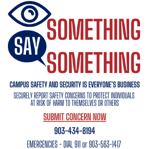 See Something Say Something