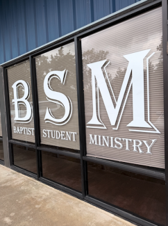 bsm windows