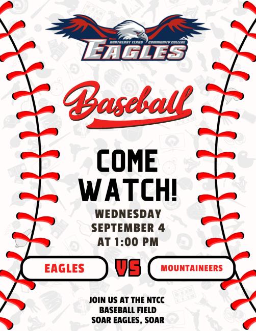 baseball game flyer