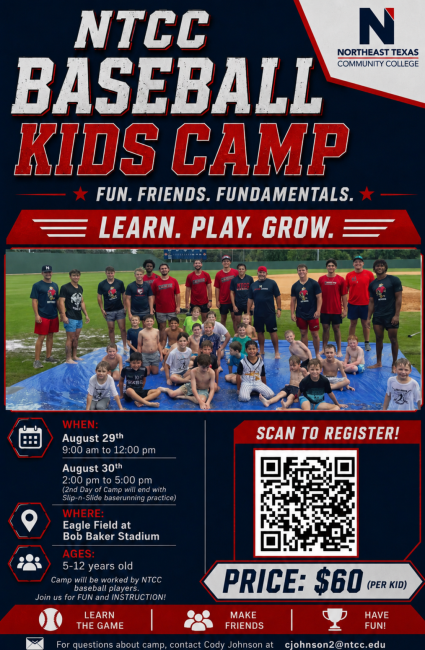 baseball camp flyer