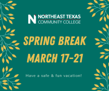 spring break graphic