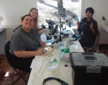 student researchers