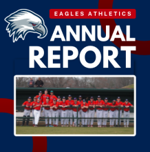 annual report graphic