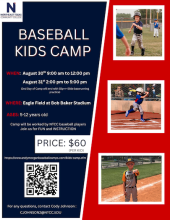 baseball camp flyer