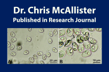 McAllister published