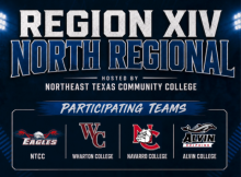 regional tournament graphic
