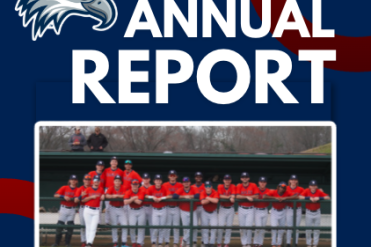 annual report graphic