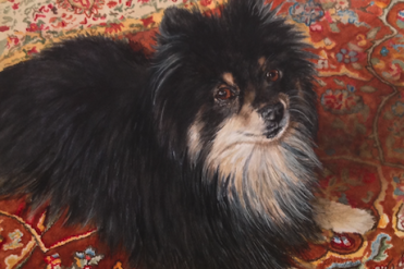 painting of dog