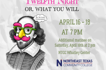 twelfth night graphic