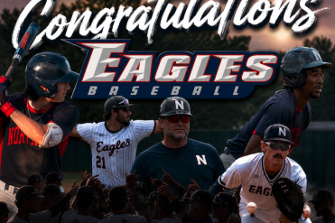 baseball congratulations graphic