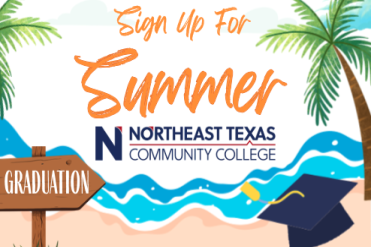 summer graphic