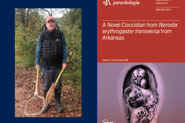 McAllister research cover 