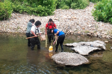 students in river doing fish research