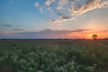 prairie sunrise