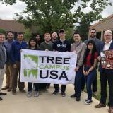 Tree campus