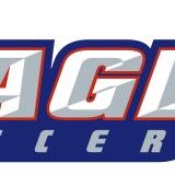 soccer logo