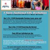 workshop flyer