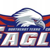 eagle logo